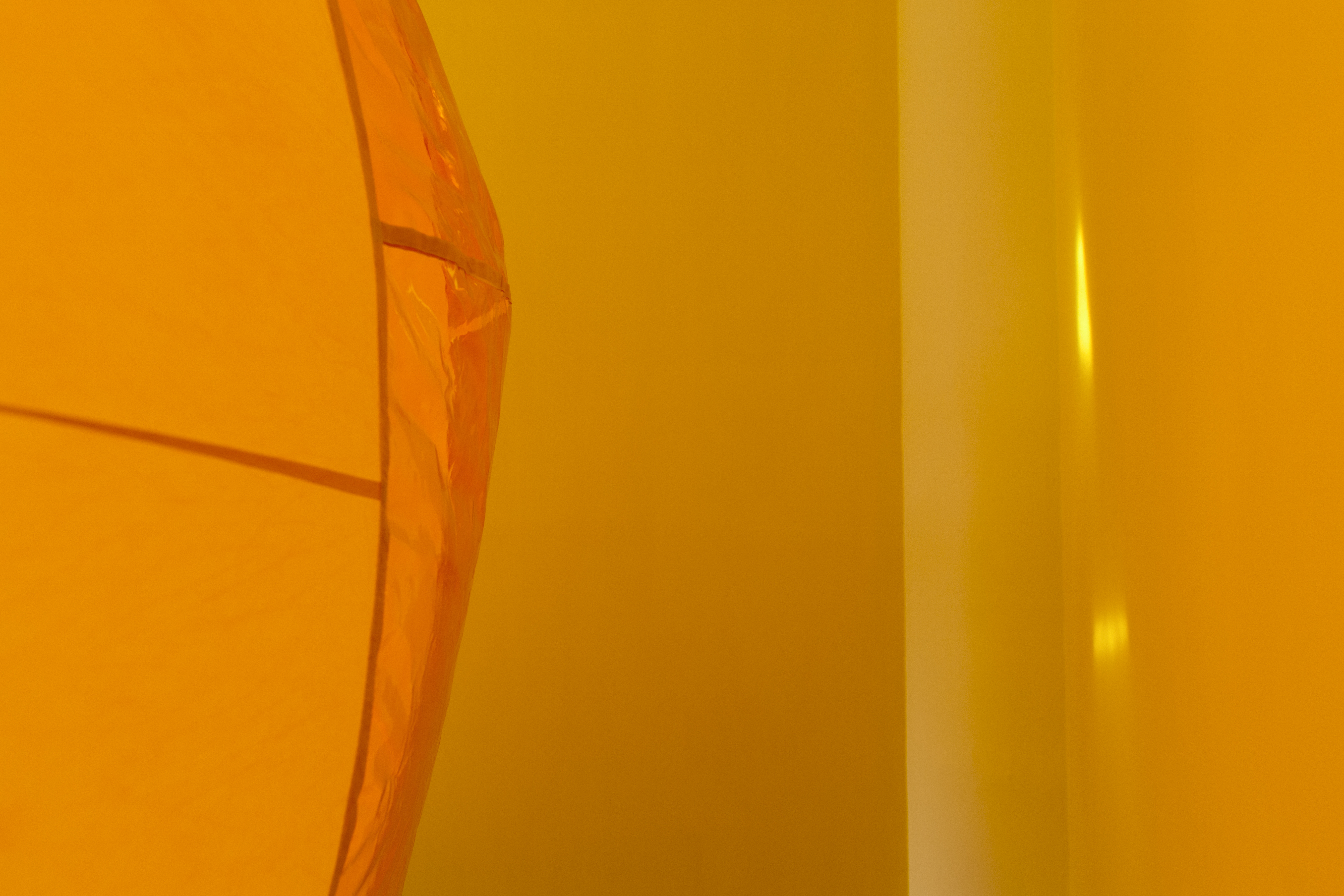 Bailee Lobb, Pineapple Place (detail), 2021 – Toi Pōneke