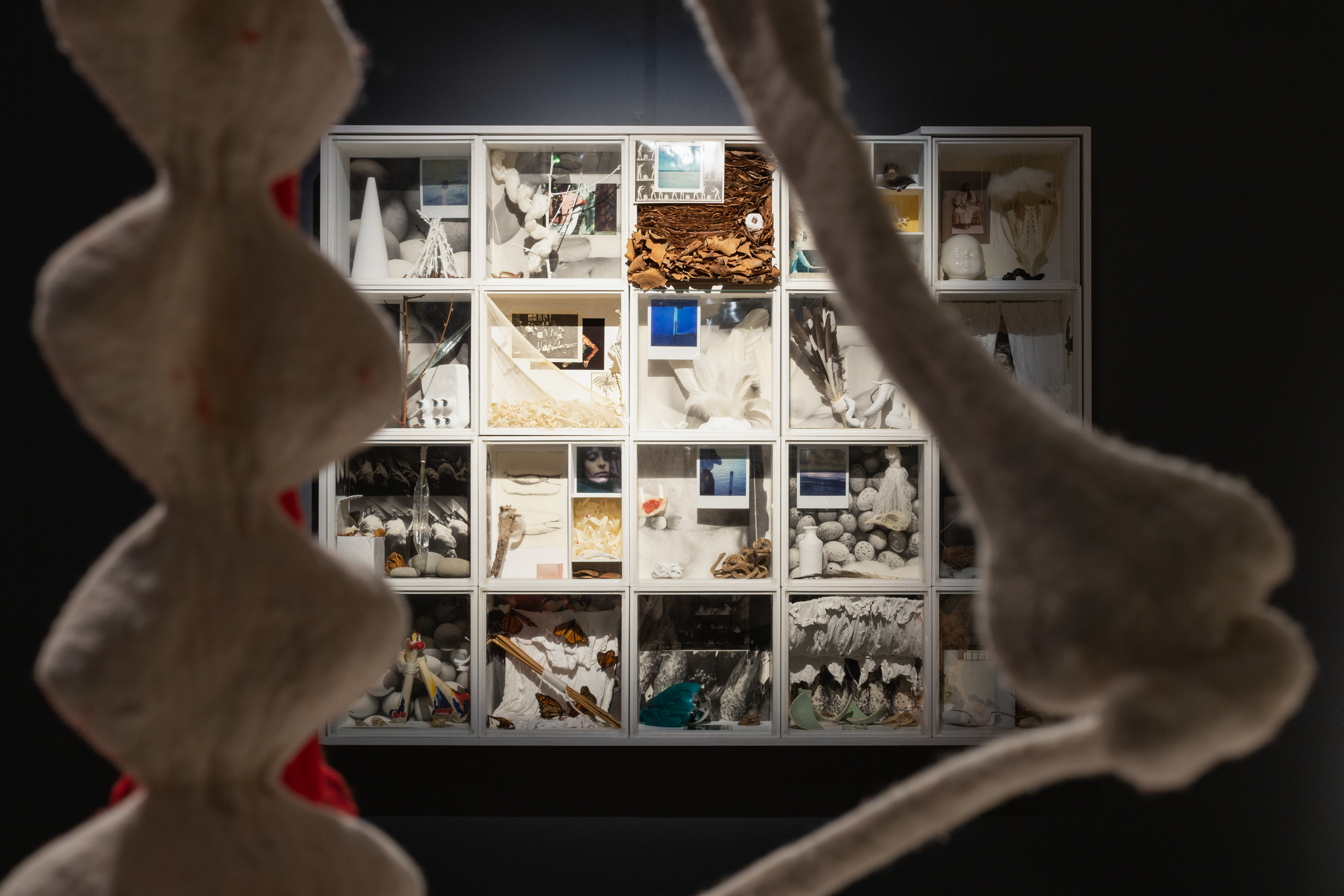 Unhinged: Opening the Door to the Dowse Collection, Installation view – The Dowse Art Museum