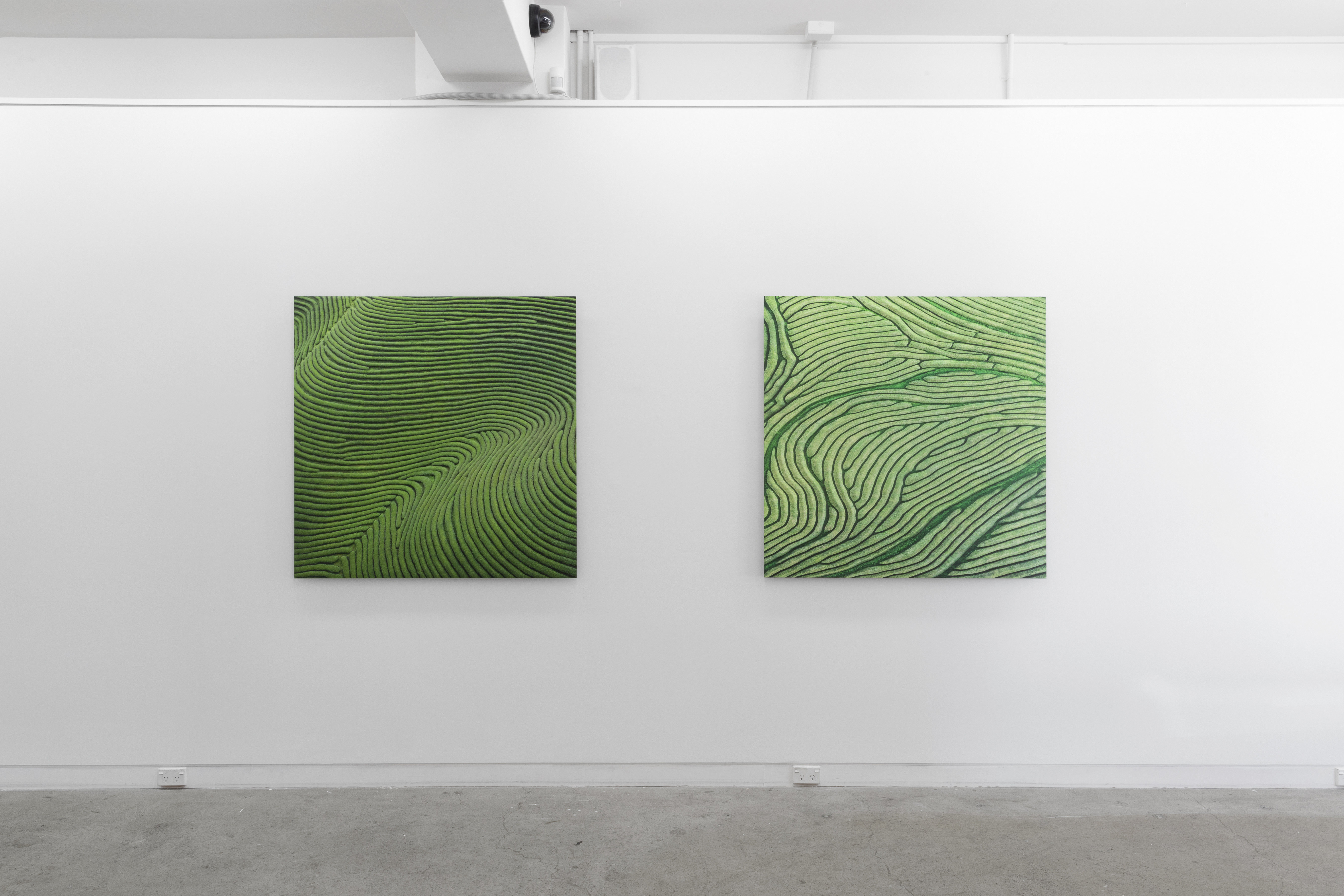 Elizabeth Thomson, Lateral Series - Habitable Zones, 2022 — Page Galleries