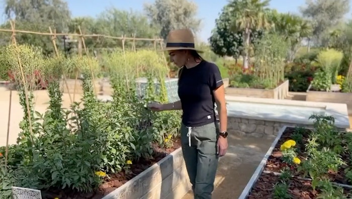 Discovery Dunes - Farm Recap