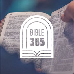 Bible 365 Cover