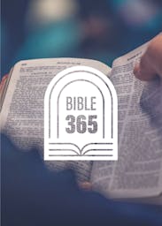 Bible 365 Cover