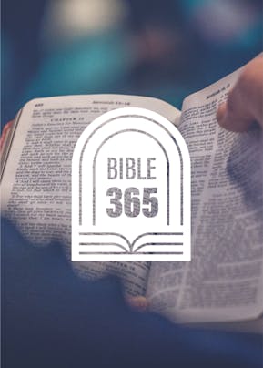 Bible 365 Cover