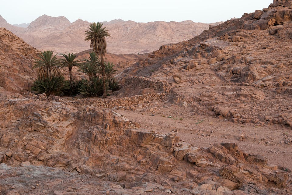 The Sinai desert on May 12, 2008. *Matt Moyer/Getty Images*. Sinai Desert