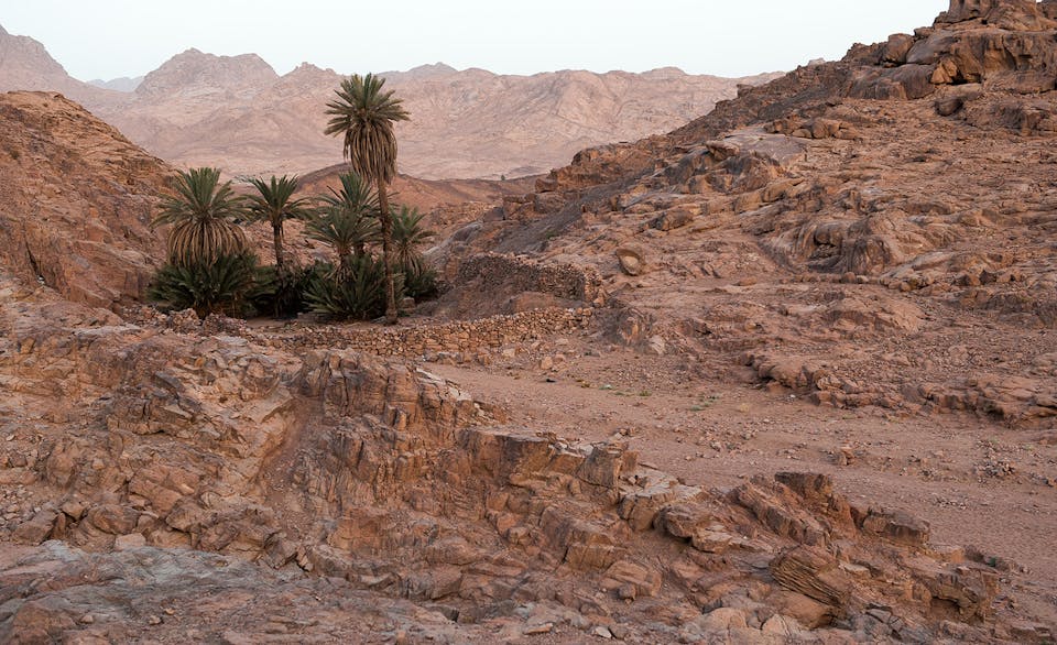 Sinai Desert