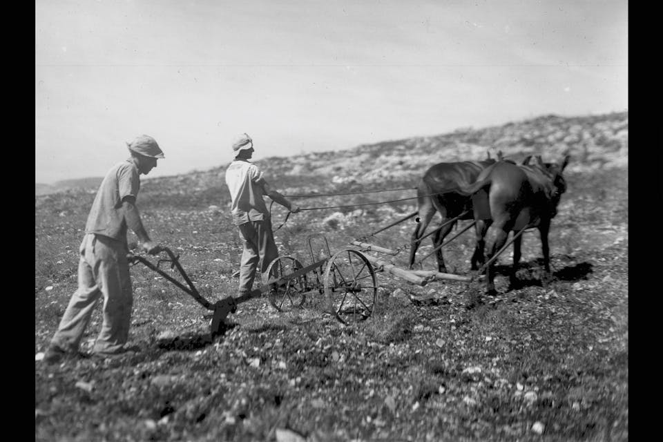 Members of Kibbutz Ma’ale Hahamisha plow their land in 1938. *Zoltan Kluger/Government Press Office.* 7535055336_07c40b1fc8_k