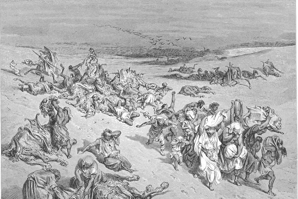 *From the 19th-century French artist Gustave Doré's *The Murrain of Beasts, *a woodcut of the fifth plague visited by God upon Egypt.* Wikipedia. 033.The_Fifth_Plague._Livestock_Disease