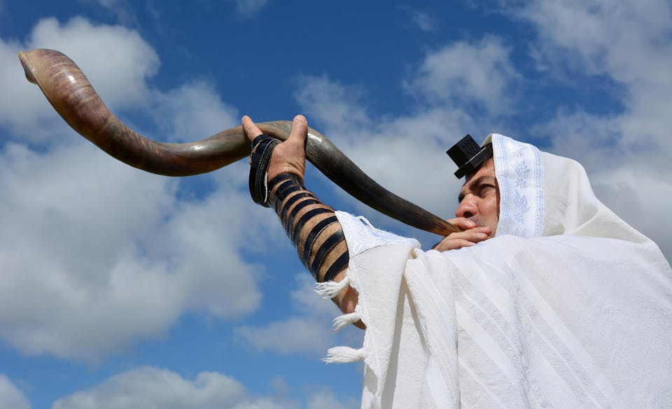 Lerner Shofar Main
