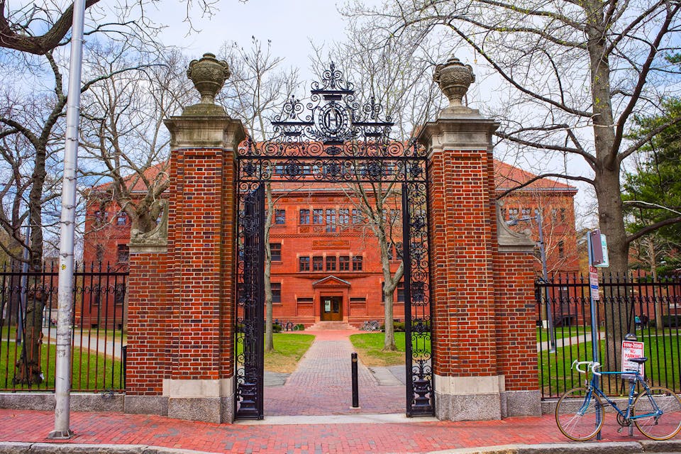 *Harvard.* iStockPhoto/Roman Babakin. Wisse Arrival