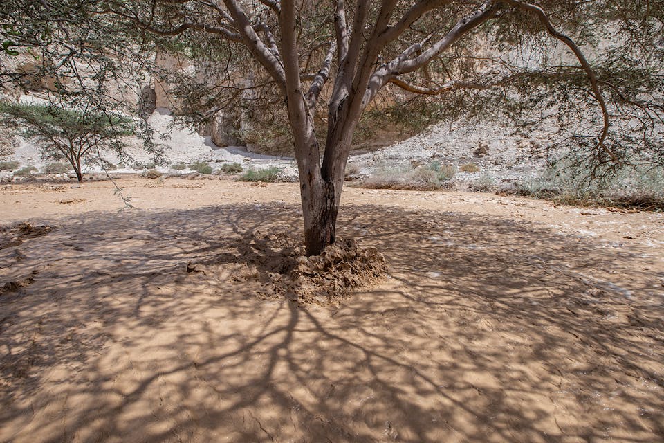 *Rain water running through a stream near the Dead Sea in southern Israel on April 26, 2018.* Maor Kinsbursky/Flash90. Hadari Rain