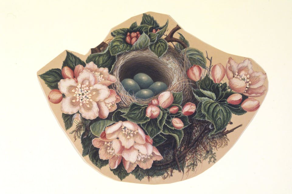 *A watercolor, called *Bird's Nest,* by H. Lynde, 1862.* Brooklyn Museum. 85.178.4