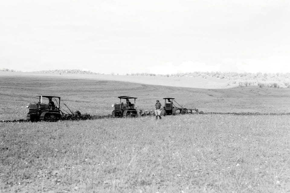 *A farm in Palestine in the 1930s.* Israeli Government Press Office. Halkin Gordon Main