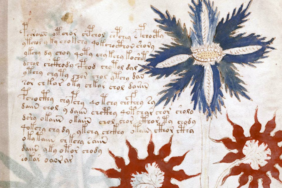 *A page from the Voynich Manuscript*. Wikipedia. Voynich Main