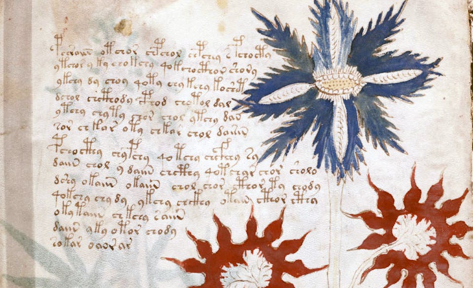 Voynich Main