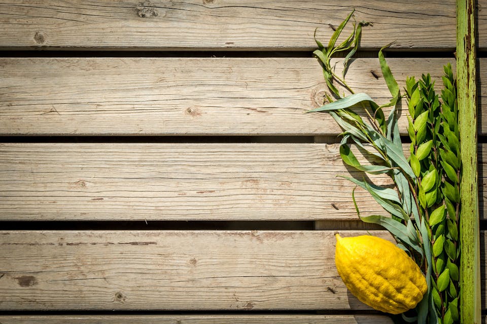 alefbet/iStockphoto. Sukkot Main
