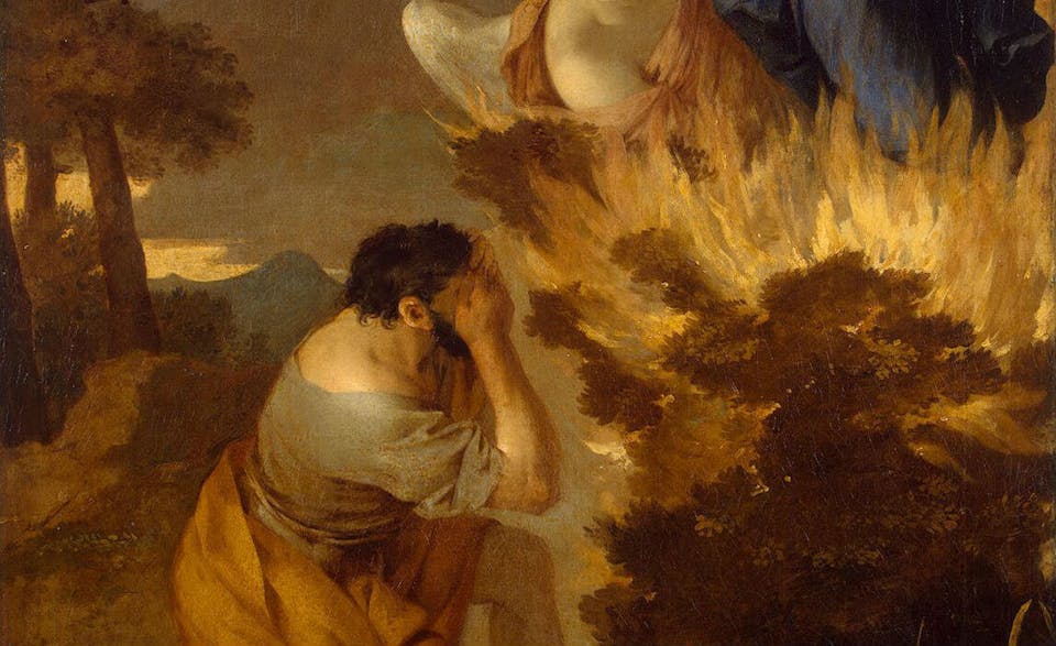 Moses Bush