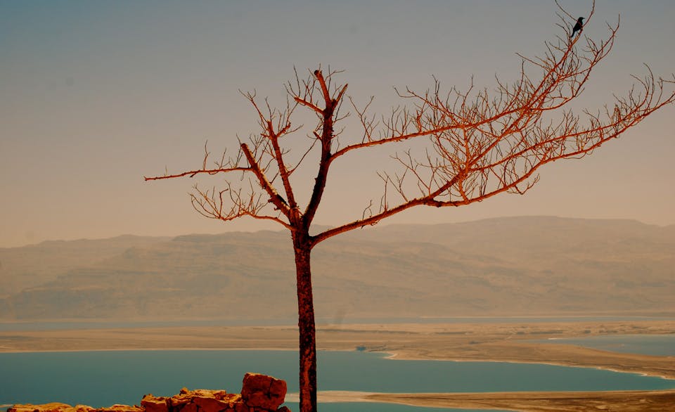 Masada-Main