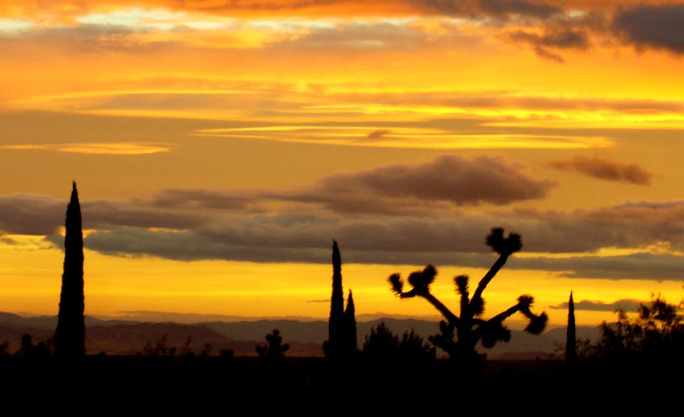 Dawn_2