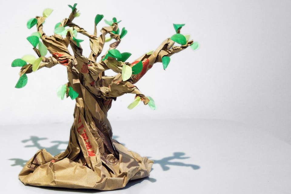 *A paper bag bonsai tree. *Rachel Pasch/Flickr. Tree