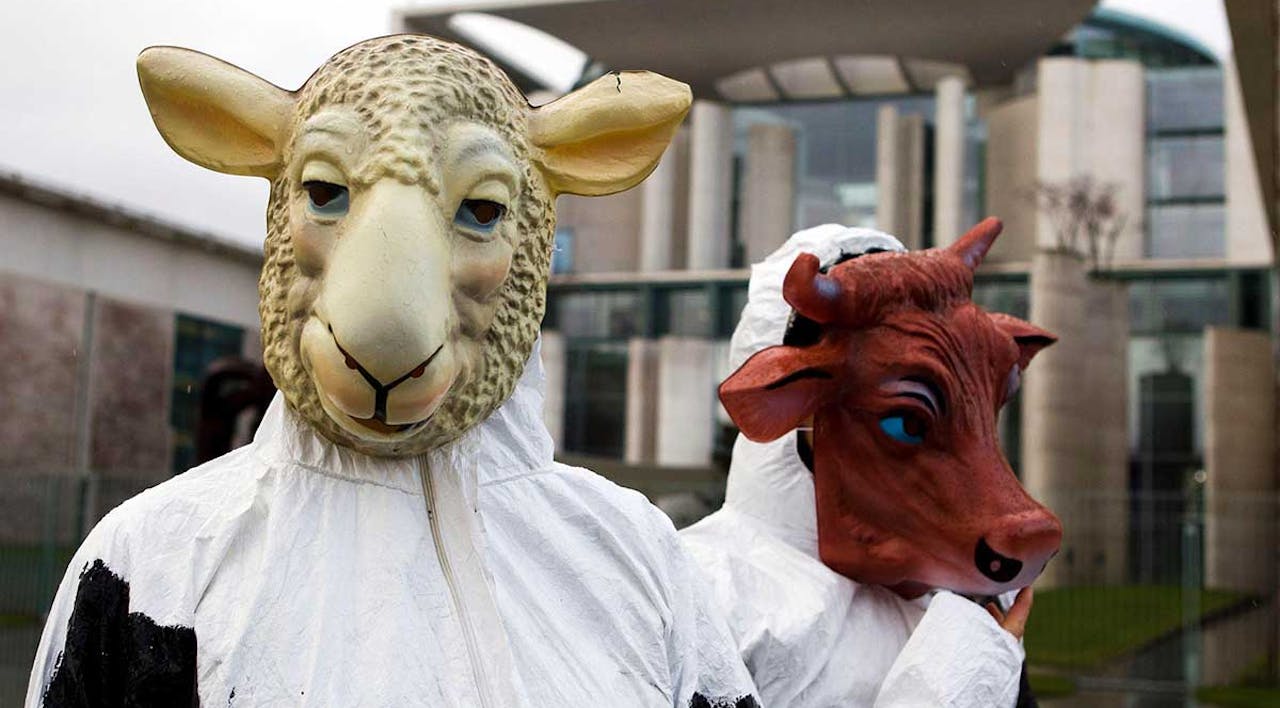 Animal-rights activists protesting kosher and halal slaughter in front of the Chancellery in Berlin, January 5, 2012. *REUTERS/Thomas Peter/Alamy*. RitualSlaughterEuropeProtest