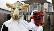 RitualSlaughterEuropeProtest