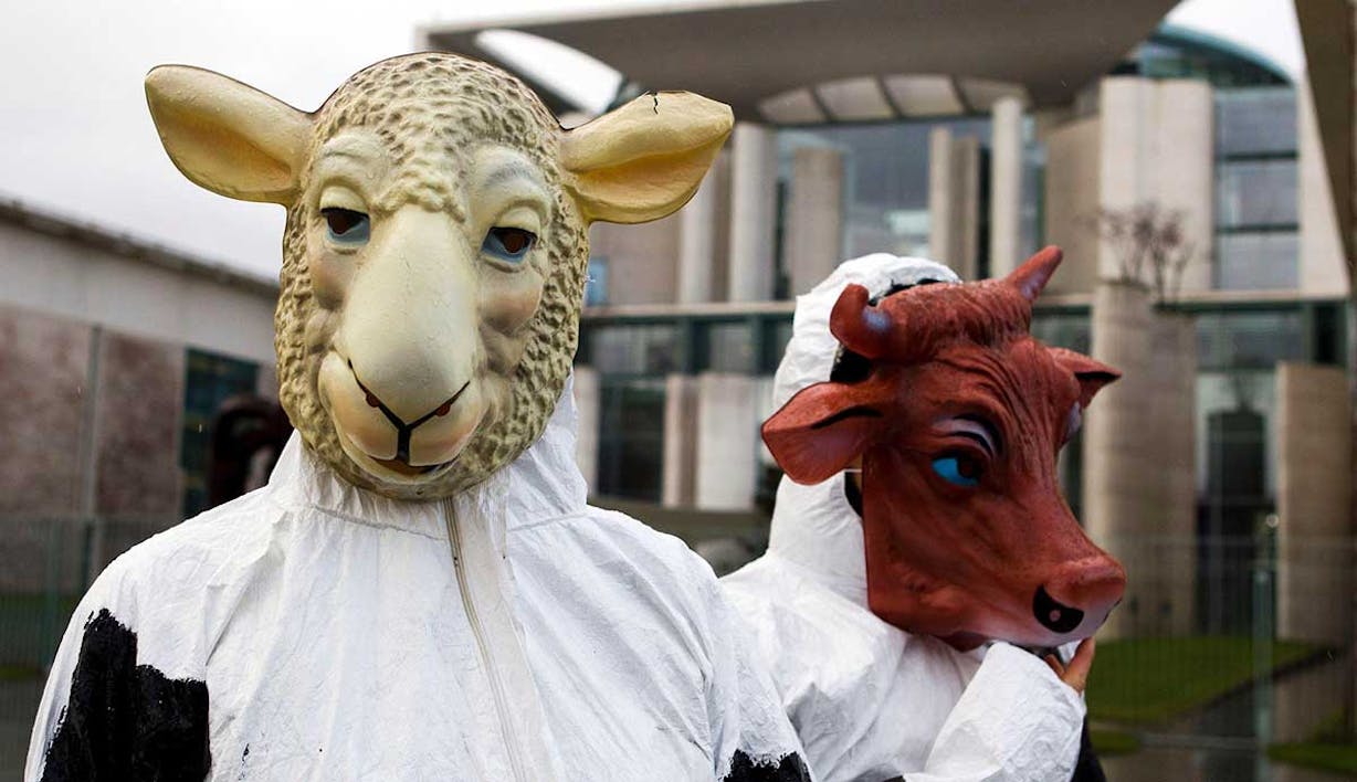 RitualSlaughterEuropeProtest