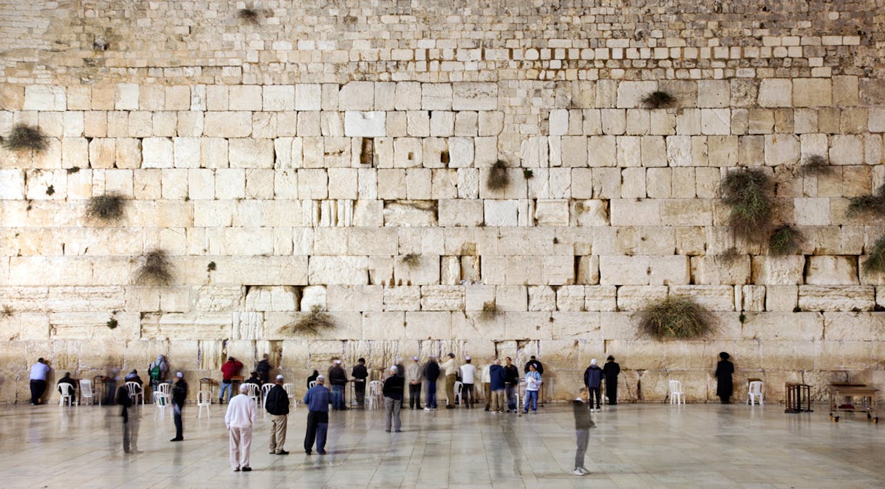 Beatriz Pitarch/Getty. Cohen-Main