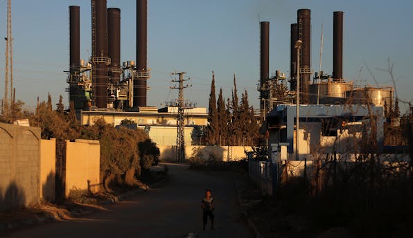 Gaza Plant