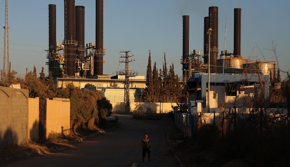 Gaza Plant