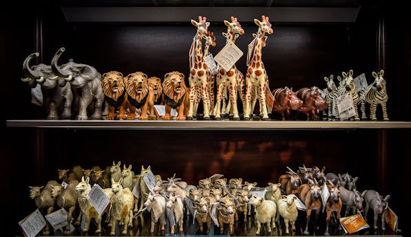 Levenson Animals Main