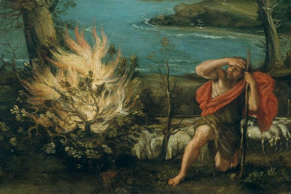*From *Landscape with Moses and the Burning Bush* by Domenichino, 1616.* Metropolitan Museum of Art. bush