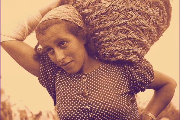 *A member of Kibbutz Ein Gev carrying a basket with gravel.* Photo by Zoltan Kluger. Courtesy Goverment Press Office. pioneers