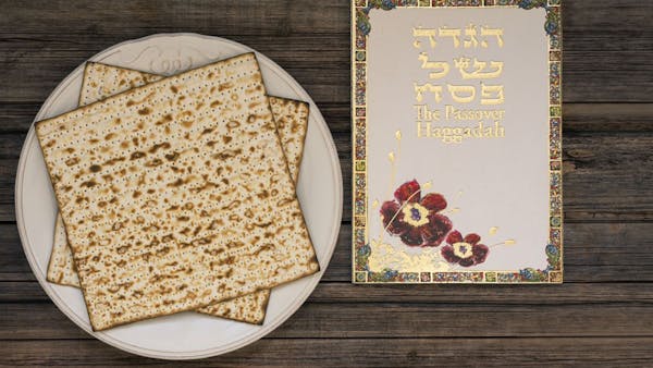 time-solly time-solly