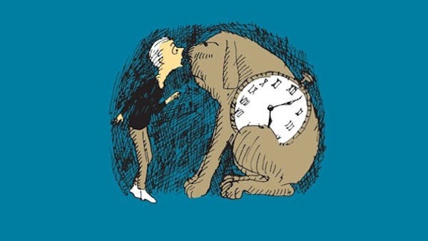 501ffe02-e083-40a0-a332-a42e3fad644e 501ffe02-e083-40a0-a332-a42e3fad644e