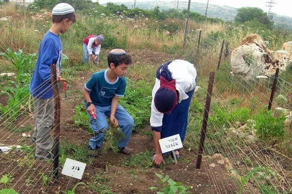 Jewish children in the village of Tel Menashe, in the northern West Bank, May 2007. *Wikimedia*. WIKITal_Menashe_-garden
