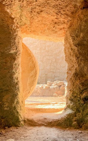 History & Ideas photo