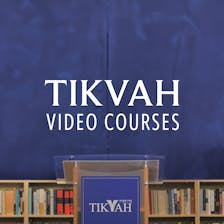 Tikvah Video Courses cover artwork
