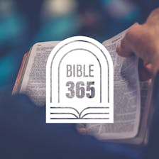 Bible 365 Bible 365 cover art