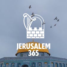 Jerusalem 365 cover artwork