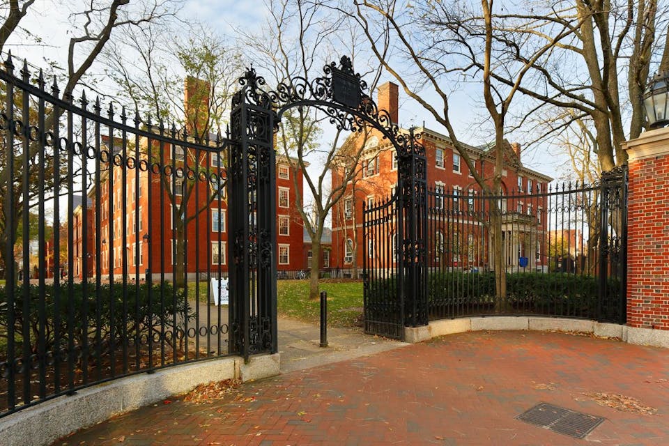 harvard