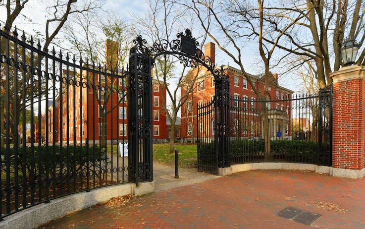 harvard