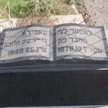 Lamed Shapiro Gravestone