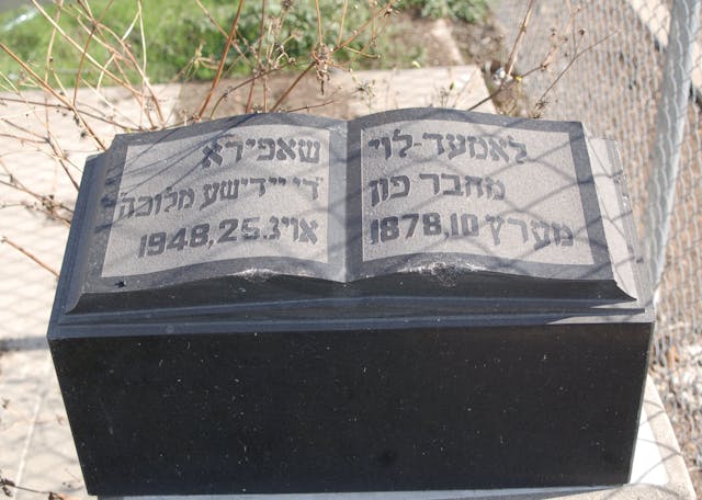 Lamed Shapiro Gravestone