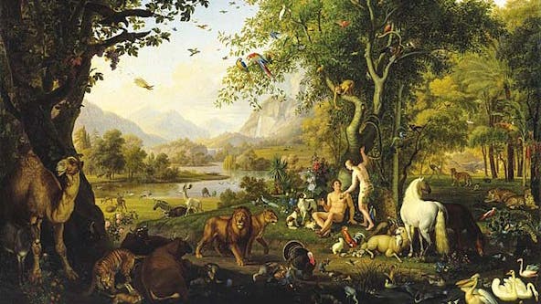 Eden-Peretz