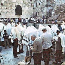 kohanim