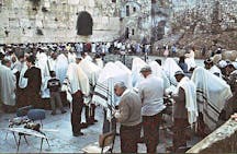 kohanim