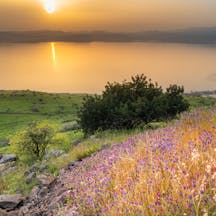 galilee