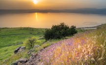 galilee