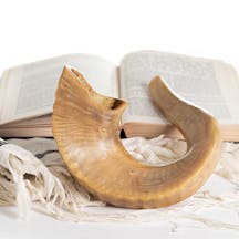shofar-23