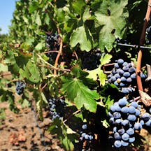 Screenshot 2025-04-15 115232